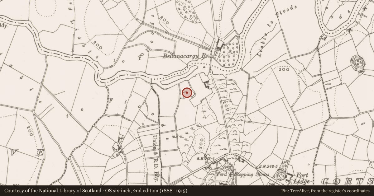 Ordnance Survey six-inch map, 2nd edition (1888–1915) covering the location of Bawn, Bellanacargy, County Cavan, with a pin at the register's coordinates
