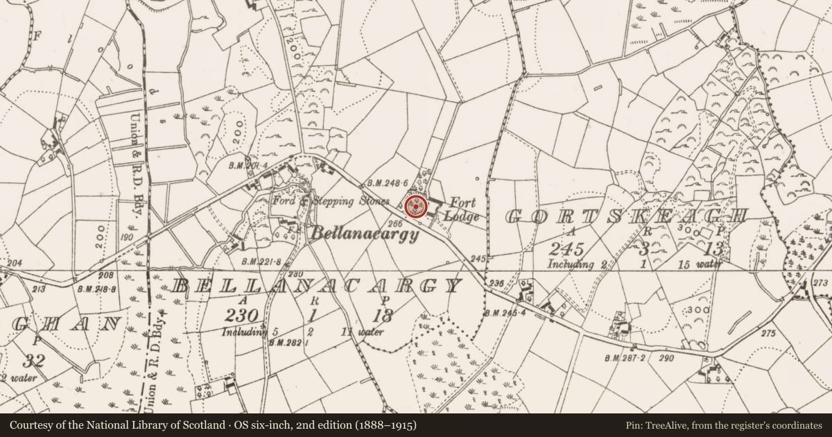 Ordnance Survey six-inch map, 2nd edition (1888–1915) covering the location of Ringfort - rath, Bellanacargy, County Cavan, with a pin at the register's coordinates