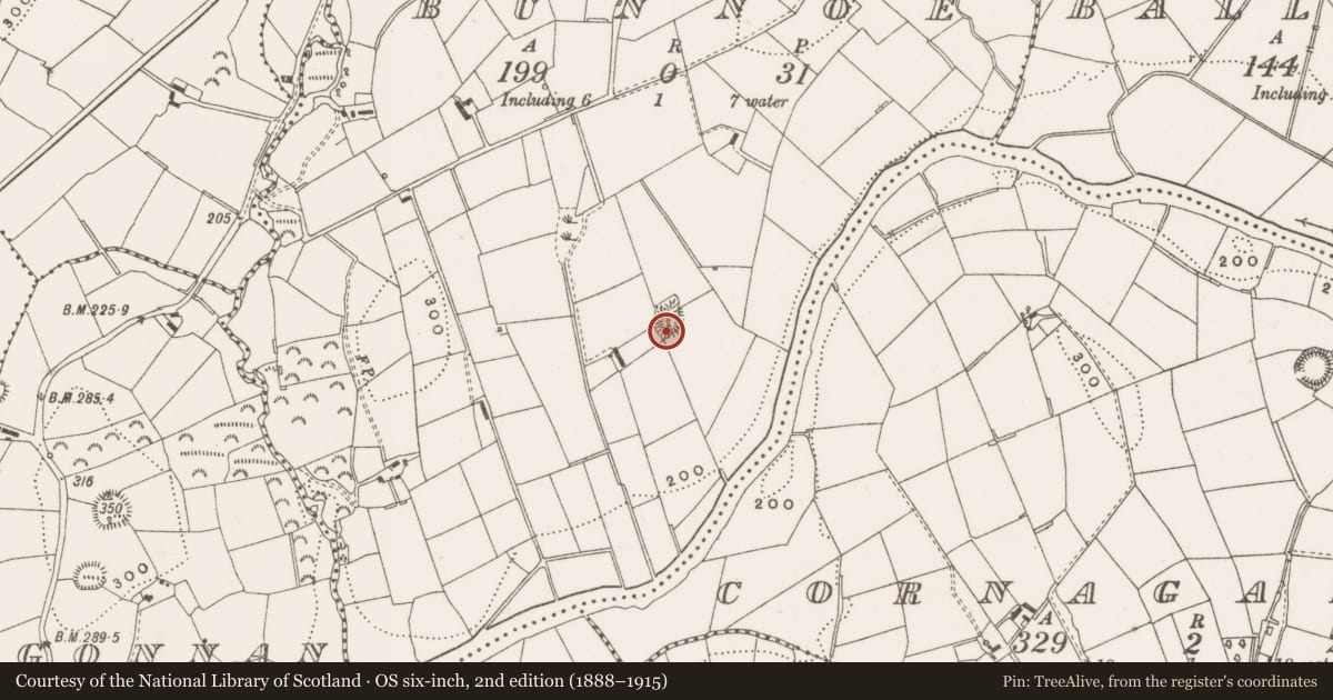 Ordnance Survey six-inch map, 2nd edition (1888–1915) covering the location of Ringfort - rath, Bunnoe, County Cavan, with a pin at the register's coordinates