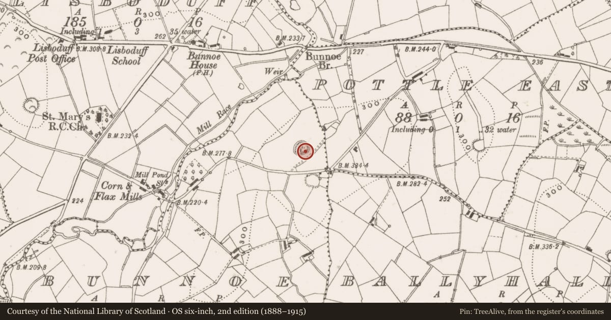Ordnance Survey six-inch map, 2nd edition (1888–1915) covering the location of Ringfort - rath, Bunnoe, County Cavan, with a pin at the register's coordinates