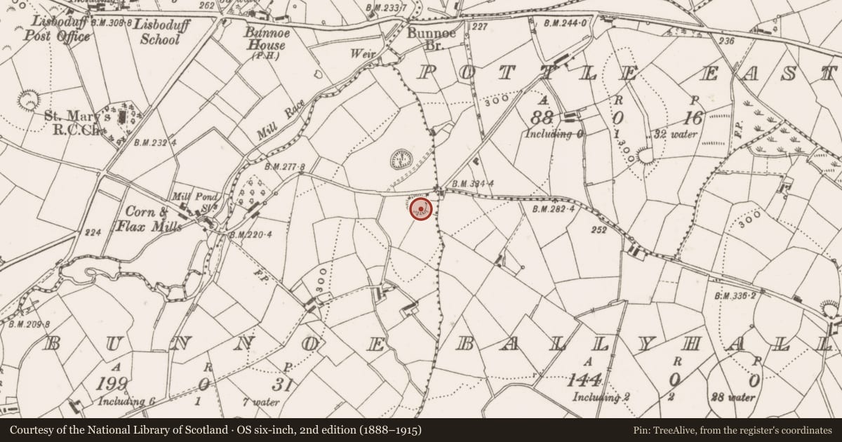 Ordnance Survey six-inch map, 2nd edition (1888–1915) covering the location of Ringfort - rath, Bunnoe, County Cavan, with a pin at the register's coordinates