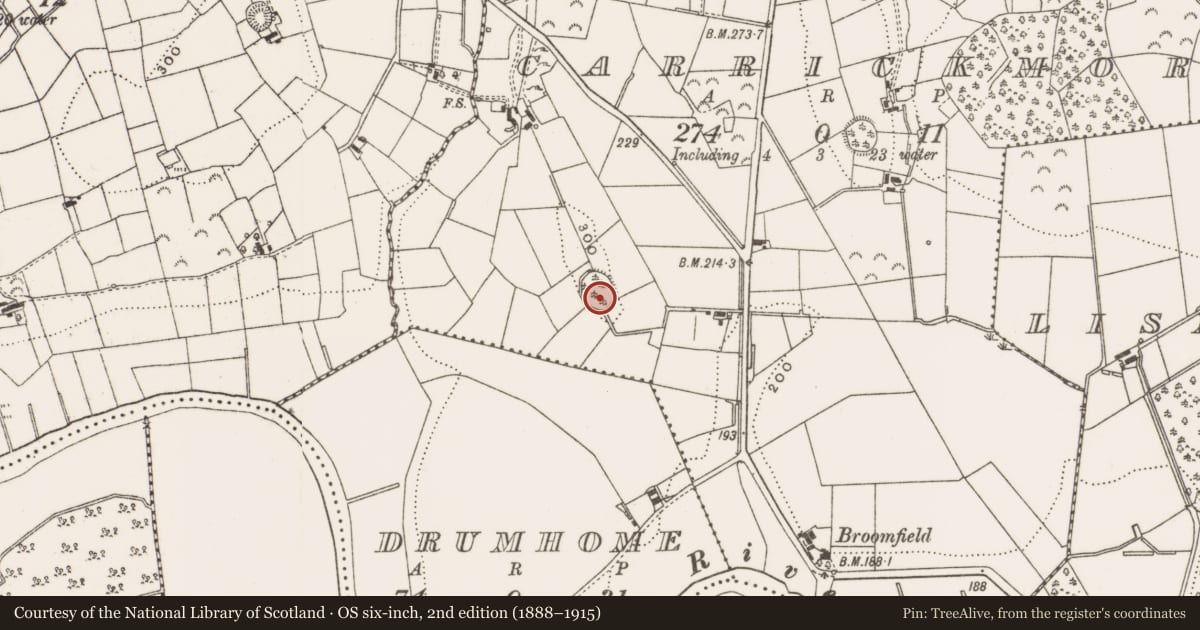 Ordnance Survey six-inch map, 2nd edition (1888–1915) covering the location of Enclosure, Carrickmore, County Cavan, with a pin at the register's coordinates