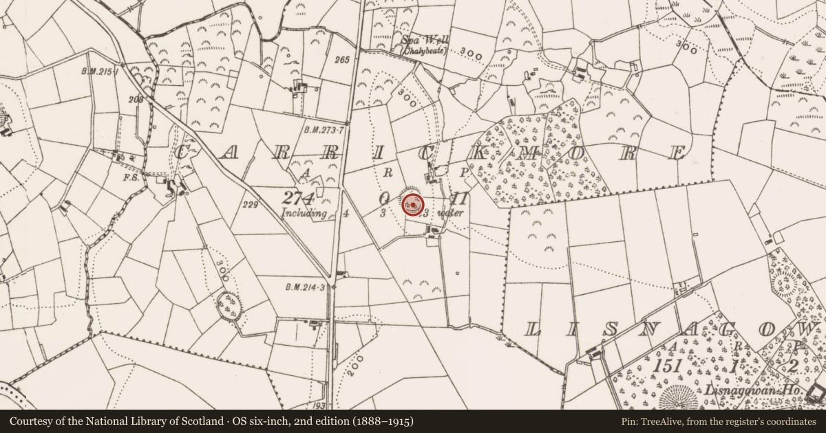 Ordnance Survey six-inch map, 2nd edition (1888–1915) covering the location of Ringfort - rath, Carrickmore, County Cavan, with a pin at the register's coordinates