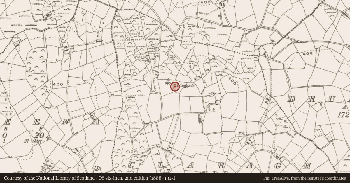 Ordnance Survey six-inch map, 2nd edition (1888–1915) covering the location of Megalithic structure, Claragh, County Cavan, with a pin at the register's coordinates