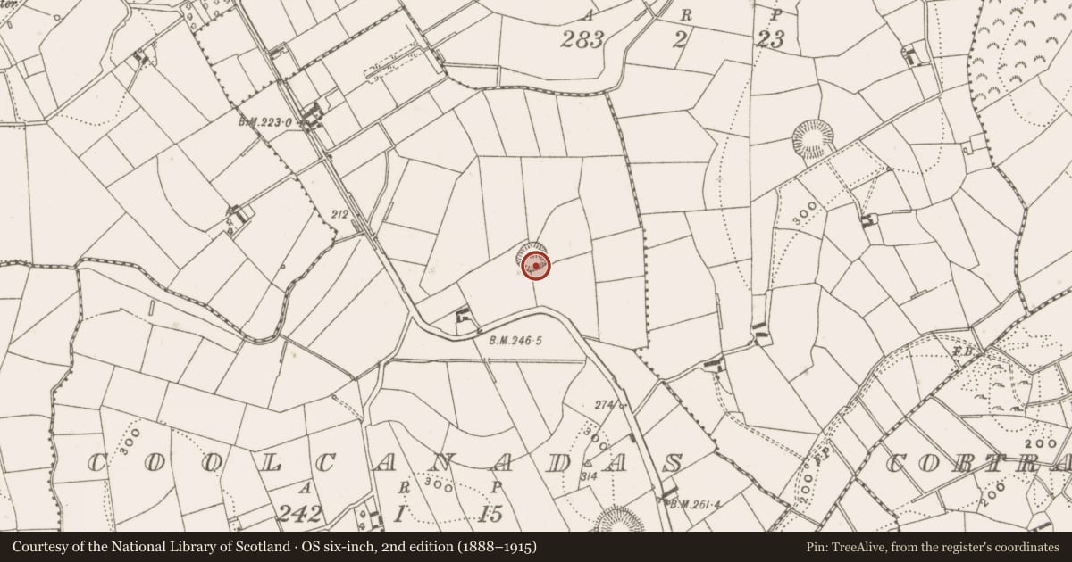 Ordnance Survey six-inch map, 2nd edition (1888–1915) covering the location of Ringfort - rath, Coolcanadas, County Cavan, with a pin at the register's coordinates