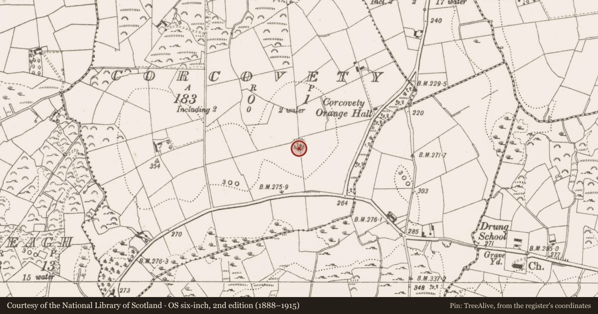 Ordnance Survey six-inch map, 2nd edition (1888–1915) covering the location of Ringfort - rath, Corcovety, County Cavan, with a pin at the register's coordinates
