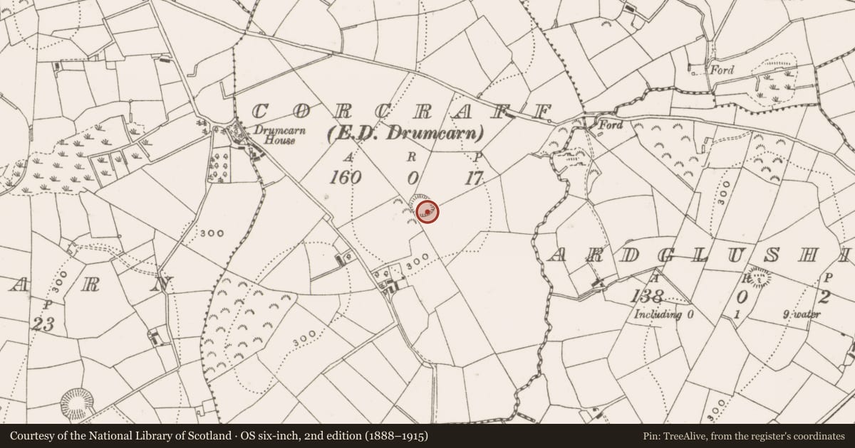 Ordnance Survey six-inch map, 2nd edition (1888–1915) covering the location of Ringfort - rath, Corcraff, County Cavan, with a pin at the register's coordinates