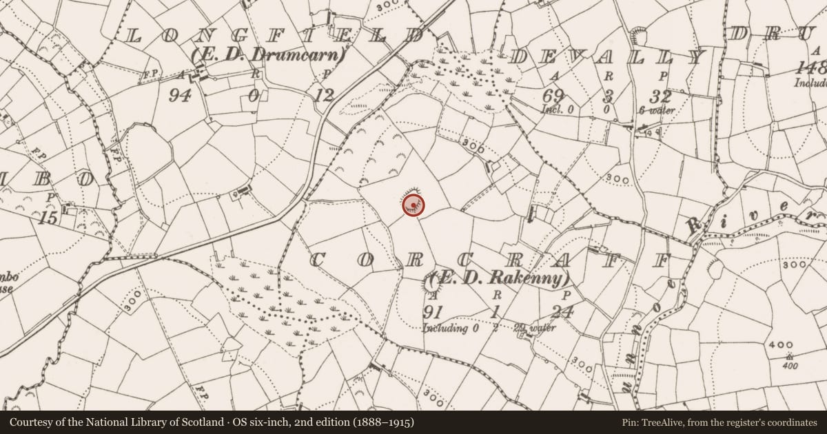 Ordnance Survey six-inch map, 2nd edition (1888–1915) covering the location of Ringfort - rath, Corcraff, County Cavan, with a pin at the register's coordinates