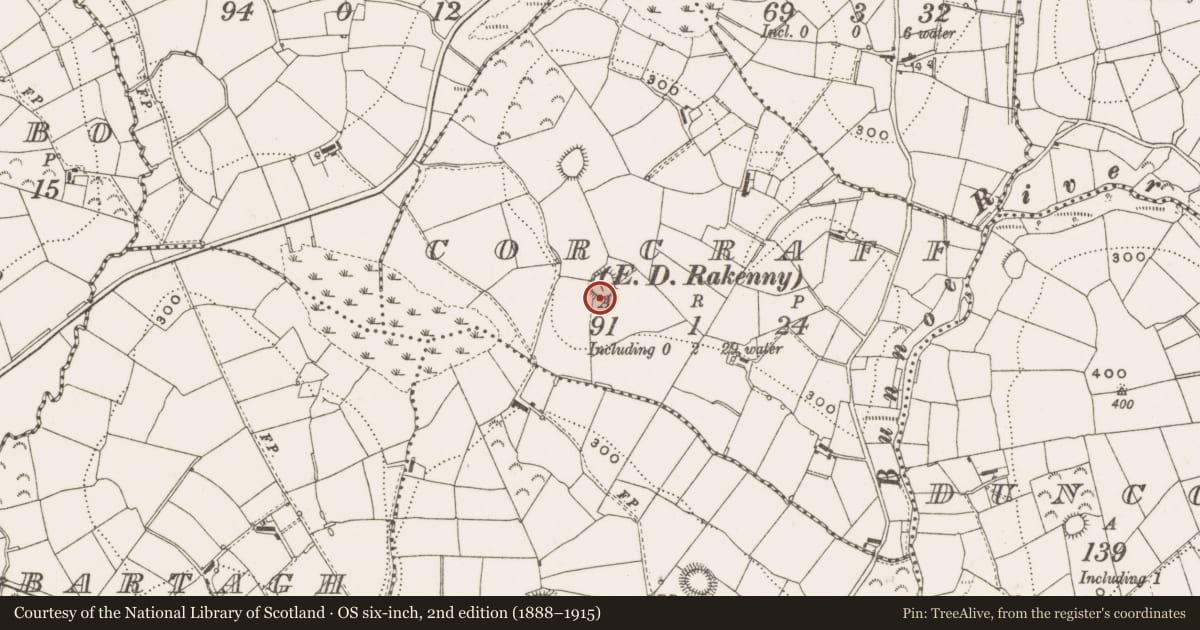 Ordnance Survey six-inch map, 2nd edition (1888–1915) covering the location of Ringfort - rath, Corcraff, County Cavan, with a pin at the register's coordinates