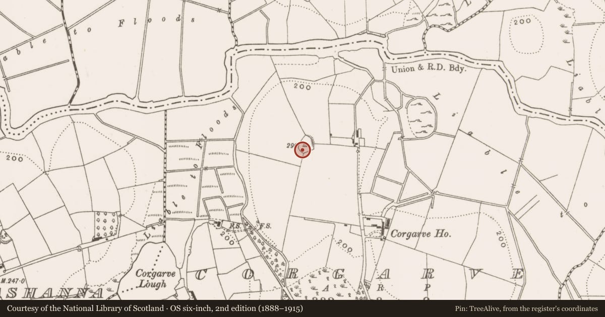 Ordnance Survey six-inch map, 2nd edition (1888–1915) covering the location of Ringfort - rath, Corgarve, County Cavan, with a pin at the register's coordinates