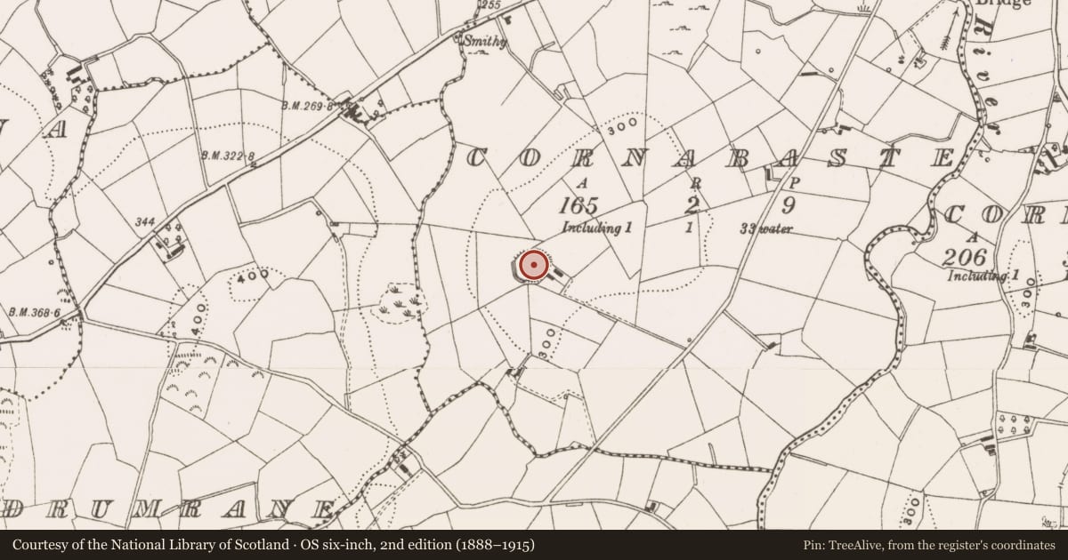 Ordnance Survey six-inch map, 2nd edition (1888–1915) covering the location of Ringfort - rath, Cornabaste, County Cavan, with a pin at the register's coordinates