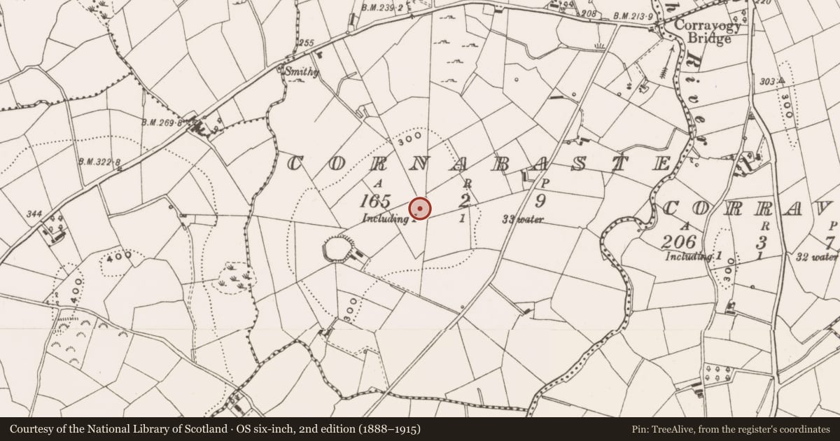 Ordnance Survey six-inch map, 2nd edition (1888–1915) covering the location of Ringfort - rath, Cornabaste, County Cavan, with a pin at the register's coordinates