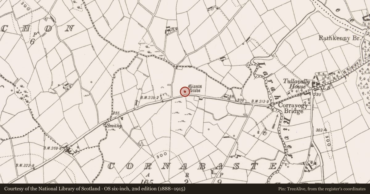 Ordnance Survey six-inch map, 2nd edition (1888–1915) covering the location of Standing stone, Cornabaste, County Cavan, with a pin at the register's coordinates