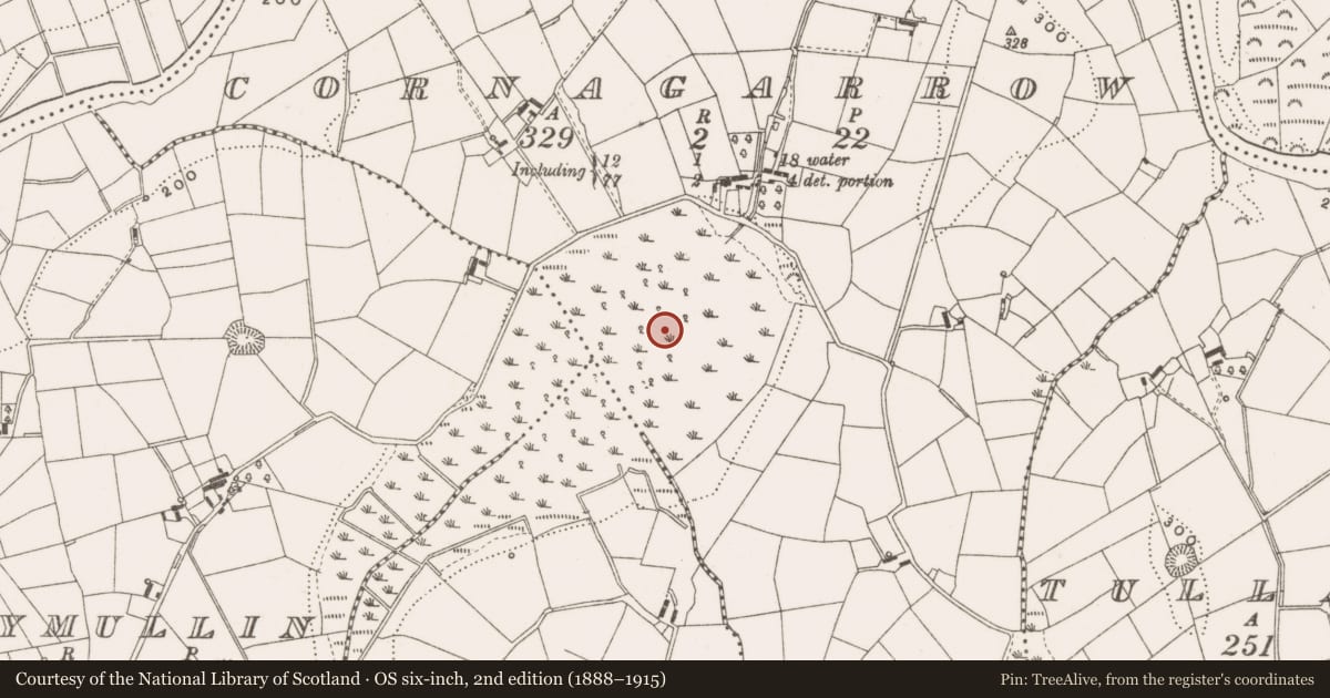 Ordnance Survey six-inch map, 2nd edition (1888–1915) covering the location of Crannog, Cornagarrow, County Cavan, with a pin at the register's coordinates
