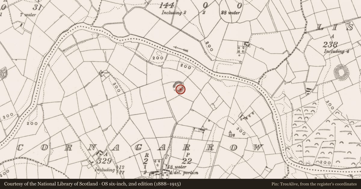 Ordnance Survey six-inch map, 2nd edition (1888–1915) covering the location of Ringfort - rath, Cornagarrow, County Cavan, with a pin at the register's coordinates