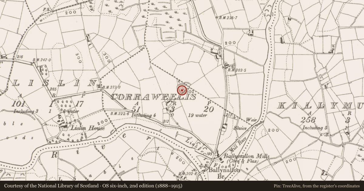 Ordnance Survey six-inch map, 2nd edition (1888–1915) covering the location of Ringfort - rath, Corraweelis, Dungonnan, County Cavan, with a pin at the register's coordinates