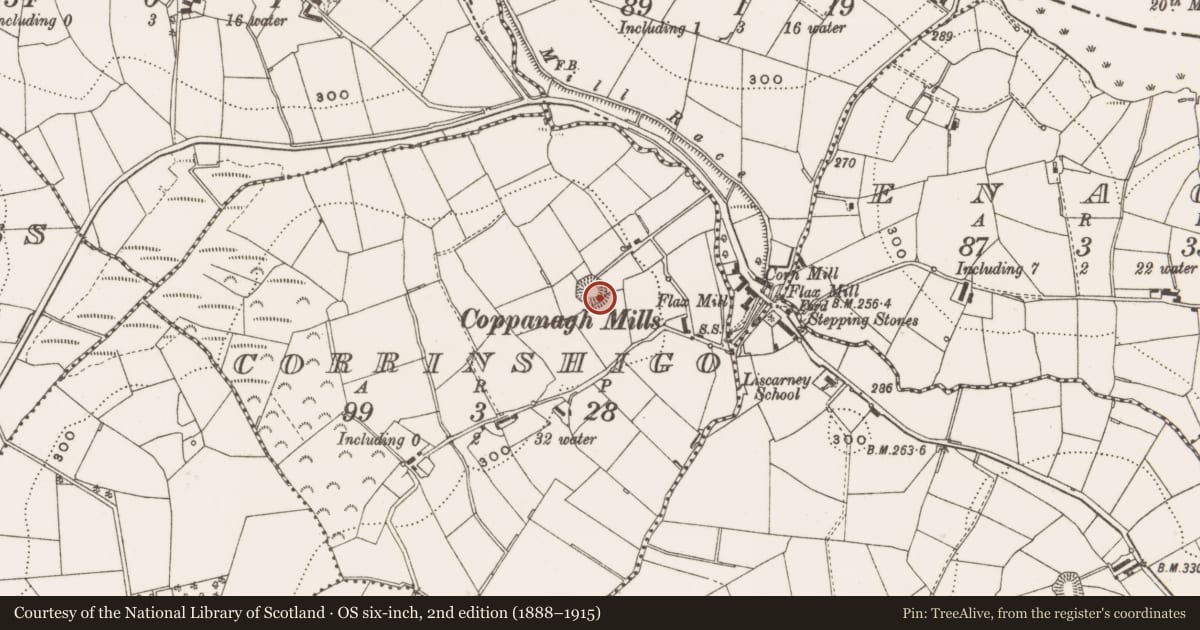 Ordnance Survey six-inch map, 2nd edition (1888–1915) covering the location of Ringfort - rath, Corrinshigo, County Cavan, with a pin at the register's coordinates