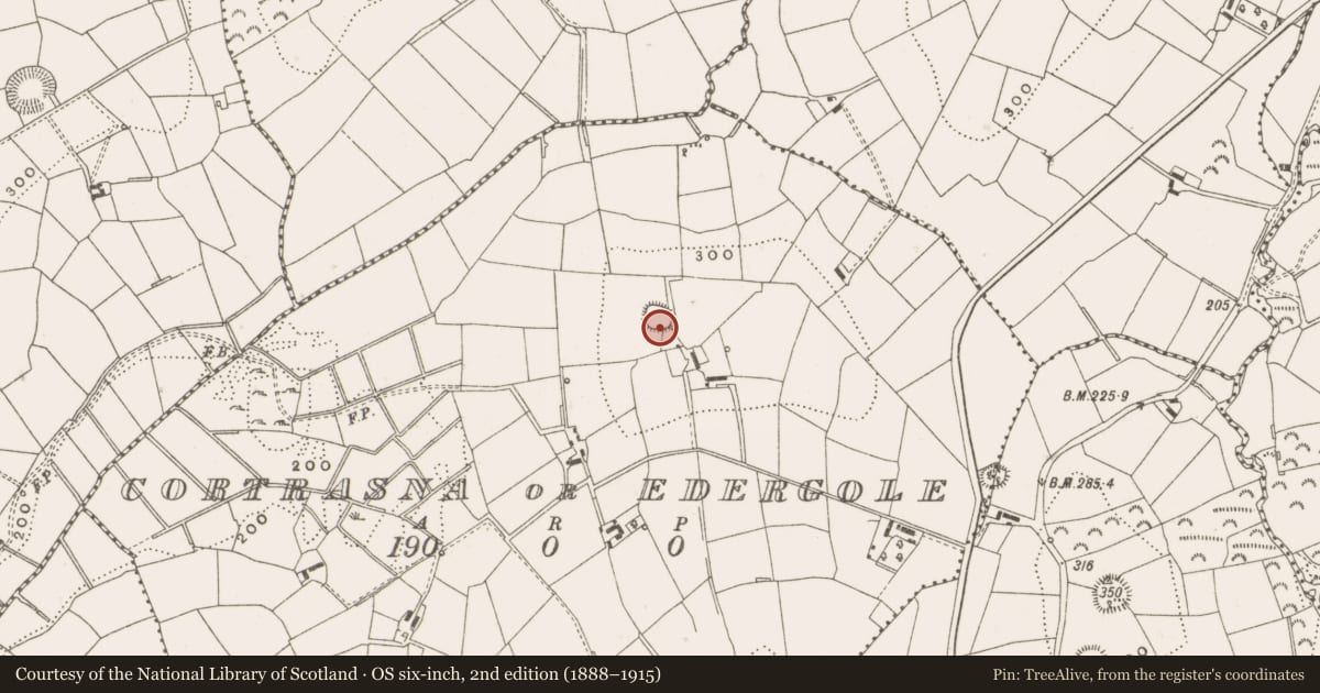 Ordnance Survey six-inch map, 2nd edition (1888–1915) covering the location of Ringfort - rath, Cortrasna Or Edergole, County Cavan, with a pin at the register's coordinates