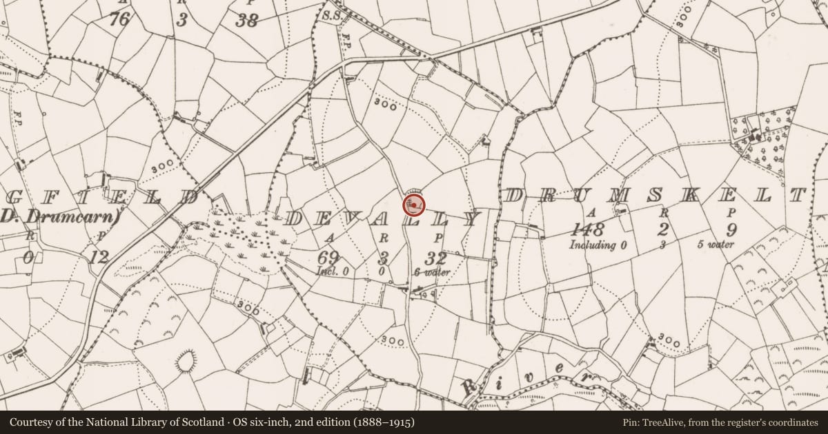 Ordnance Survey six-inch map, 2nd edition (1888–1915) covering the location of Ringfort - rath, Devally, County Cavan, with a pin at the register's coordinates