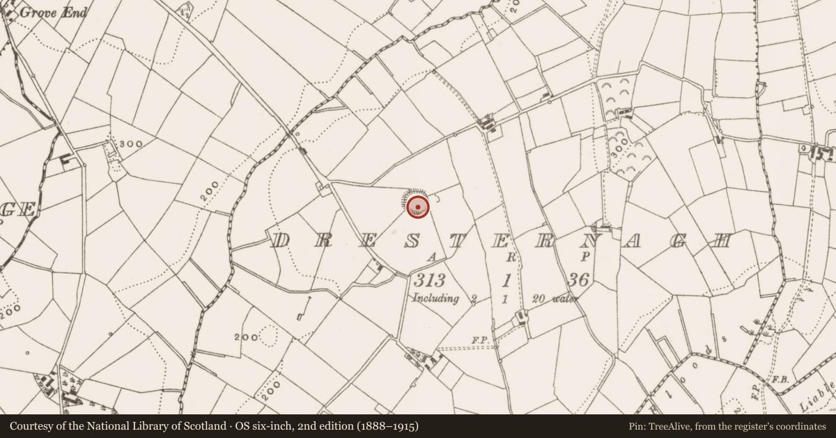 Ordnance Survey six-inch map, 2nd edition (1888–1915) covering the location of Ringfort - rath, Dresternagh, County Cavan, with a pin at the register's coordinates