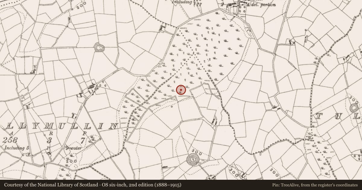 Ordnance Survey six-inch map, 2nd edition (1888–1915) covering the location of Crannog, Drumachon, County Cavan, with a pin at the register's coordinates