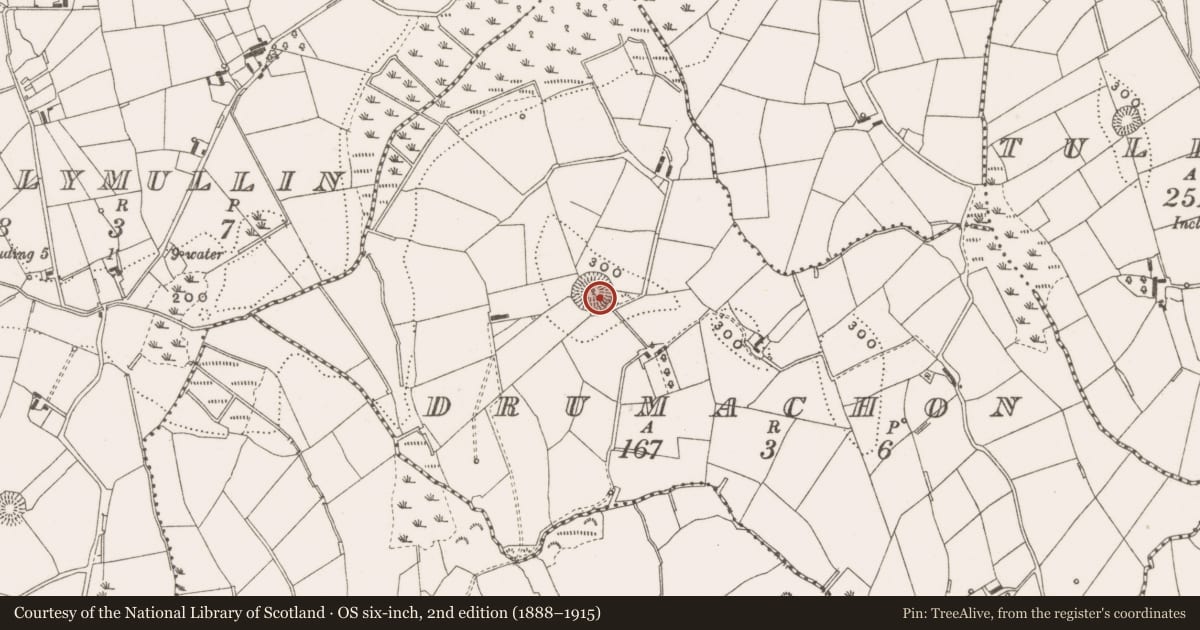 Ordnance Survey six-inch map, 2nd edition (1888–1915) covering the location of Ringfort - rath, Drumachon, County Cavan, with a pin at the register's coordinates