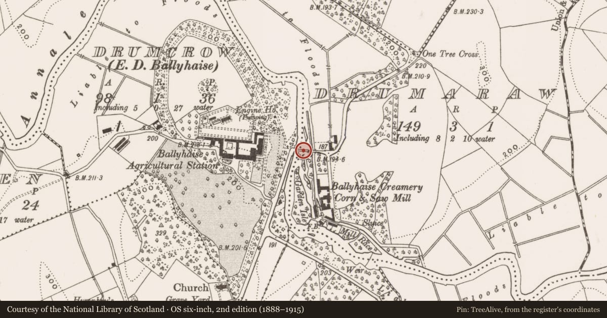 Ordnance Survey six-inch map, 2nd edition (1888–1915) covering the location of Bridge, Drumcrow, Drumaraw, County Cavan, with a pin at the register's coordinates