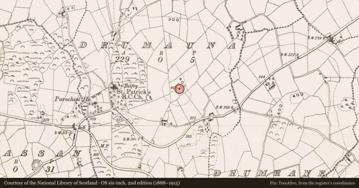 Ordnance Survey six-inch map, 2nd edition (1888–1915) covering the location of Ringfort - rath, Drumauna, County Cavan, with a pin at the register's coordinates