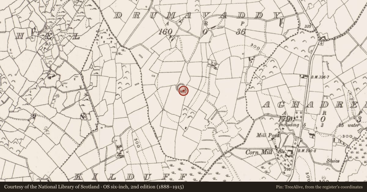 Ordnance Survey six-inch map, 2nd edition (1888–1915) covering the location of Ringfort - rath, Drumavaddy, County Cavan, with a pin at the register's coordinates