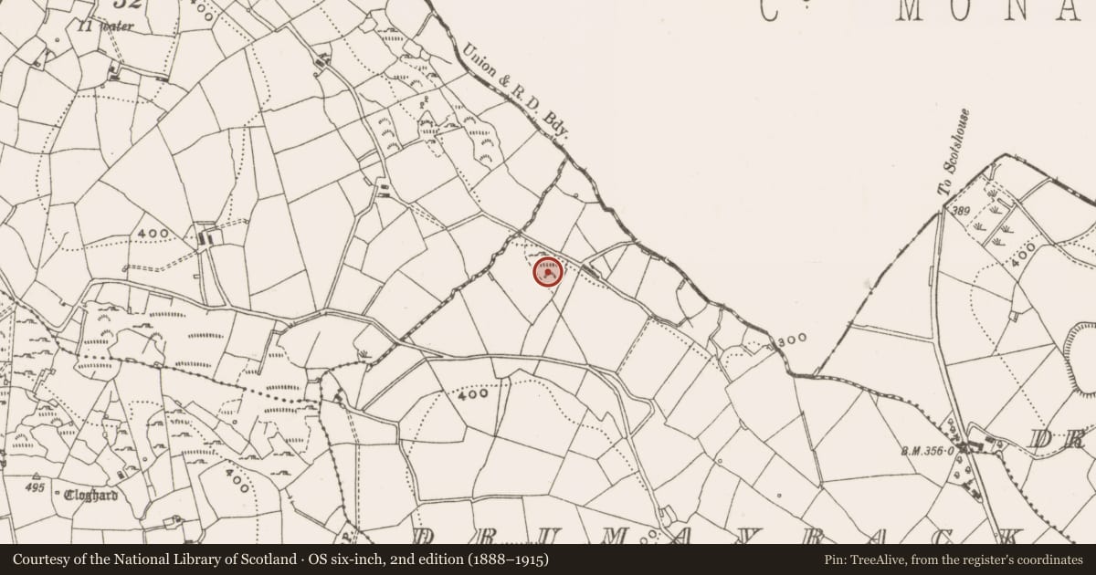 Ordnance Survey six-inch map, 2nd edition (1888–1915) covering the location of Megalithic tomb - court tomb, Drumavrack, County Cavan, with a pin at the register's coordinates