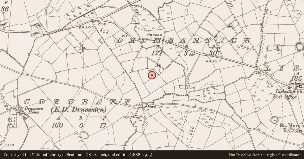 Ordnance Survey six-inch map, 2nd edition (1888–1915) covering the location of Ringfort - rath, Drumbartagh, County Cavan, with a pin at the register's coordinates