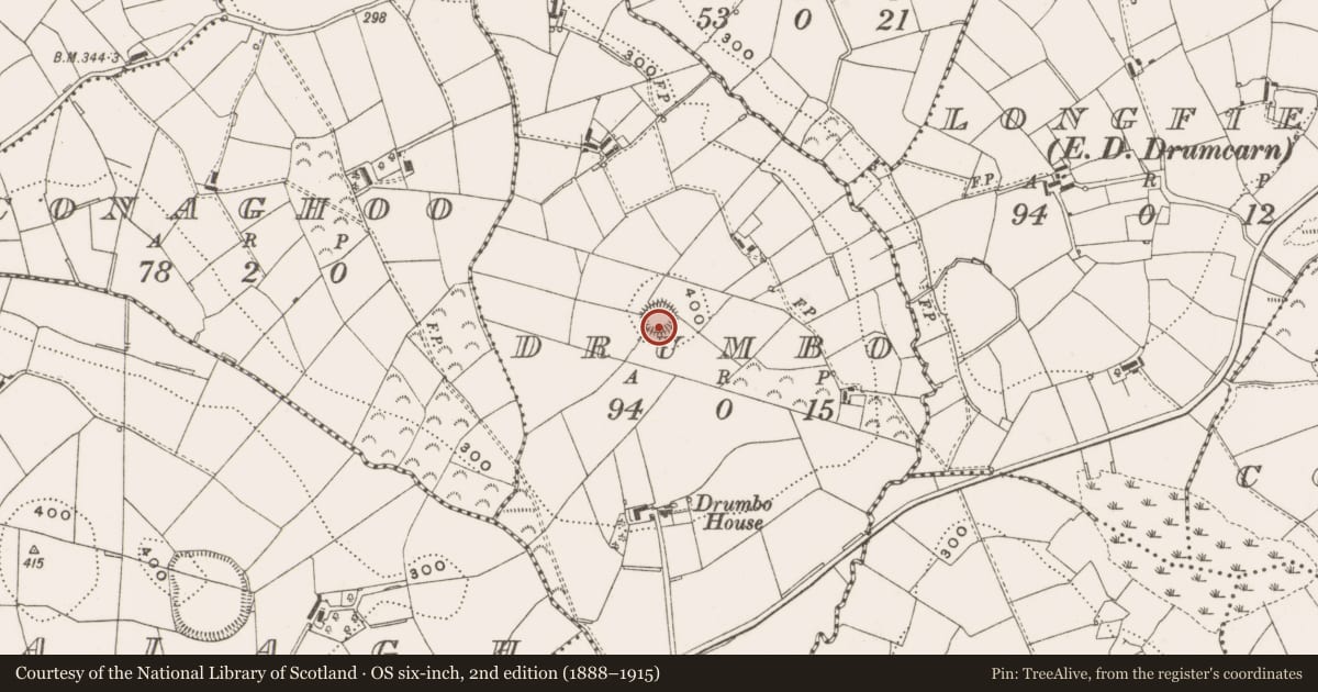 Ordnance Survey six-inch map, 2nd edition (1888–1915) covering the location of Ringfort - rath, Drumbo, County Cavan, with a pin at the register's coordinates