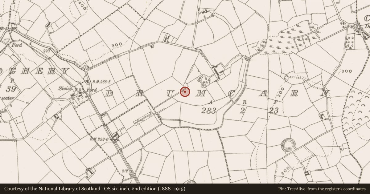 Ordnance Survey six-inch map, 2nd edition (1888–1915) covering the location of Burial ground, Drumcarn, County Cavan, with a pin at the register's coordinates