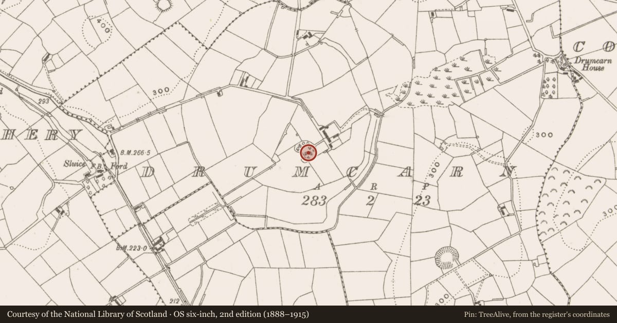 Ordnance Survey six-inch map, 2nd edition (1888–1915) covering the location of Castle - unclassified, Drumcarn, County Cavan, with a pin at the register's coordinates