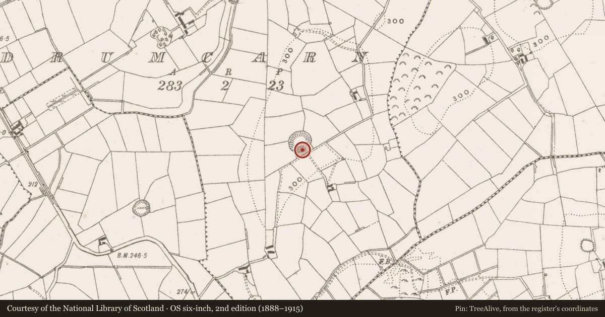Ordnance Survey six-inch map, 2nd edition (1888–1915) covering the location of Ringfort - rath, Drumcarn, County Cavan, with a pin at the register's coordinates