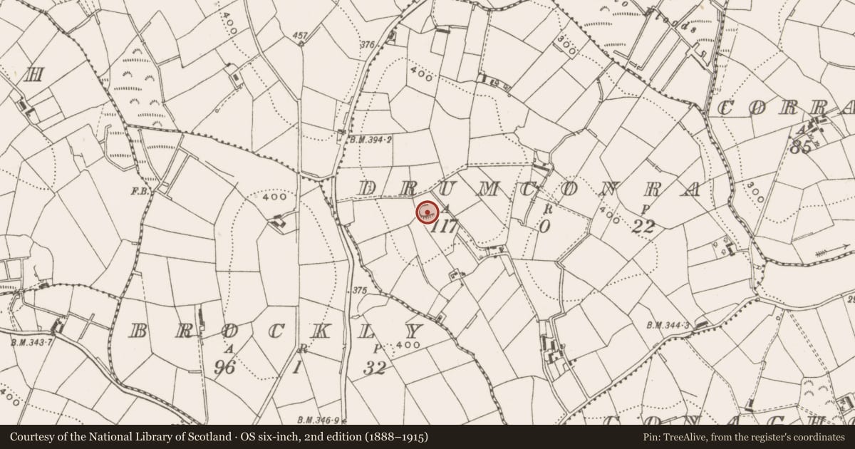 Ordnance Survey six-inch map, 2nd edition (1888–1915) covering the location of Ringfort - rath, Drumconra, County Cavan, with a pin at the register's coordinates
