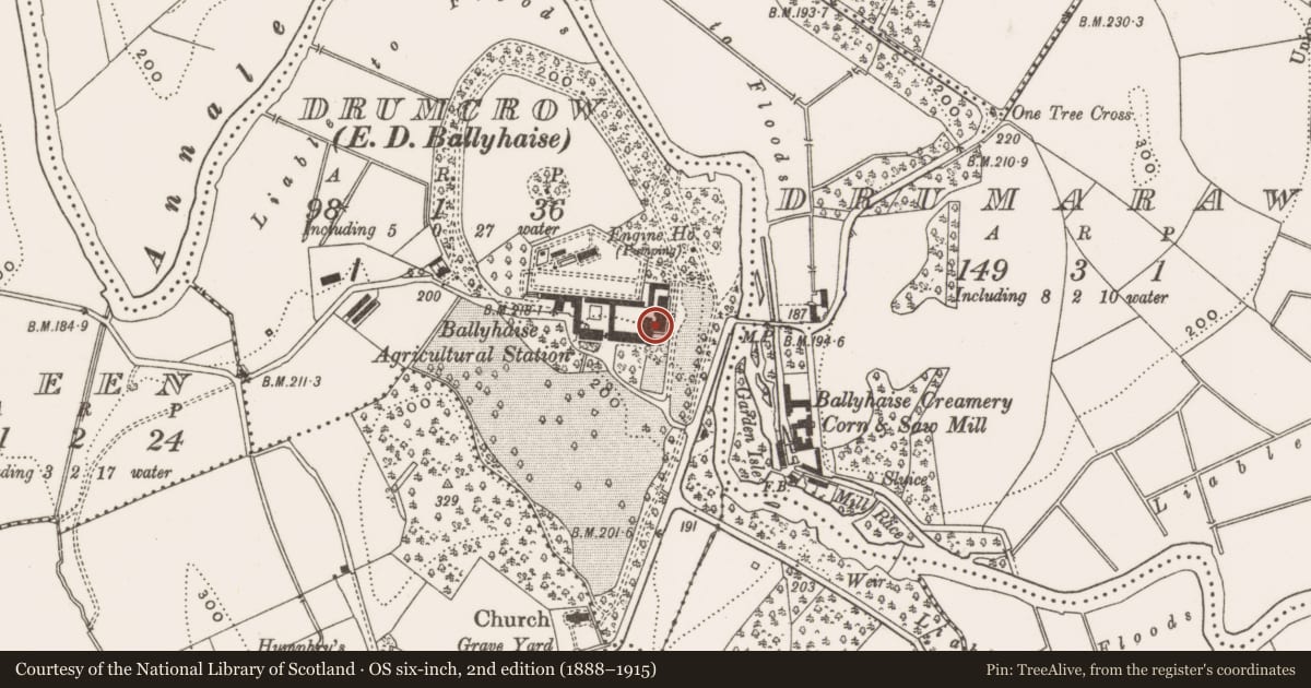 Ordnance Survey six-inch map, 2nd edition (1888–1915) covering the location of Castle - unclassified, Drumcrow, County Cavan, with a pin at the register's coordinates