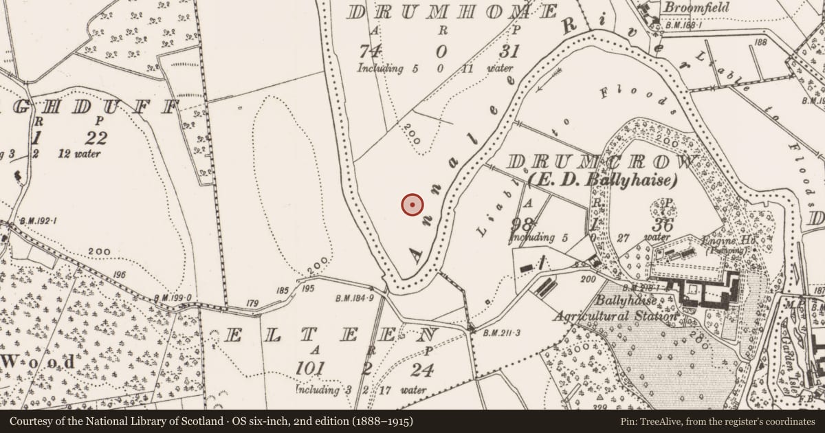 Ordnance Survey six-inch map, 2nd edition (1888–1915) covering the location of Castle - unclassified, Drumhome, County Cavan, with a pin at the register's coordinates