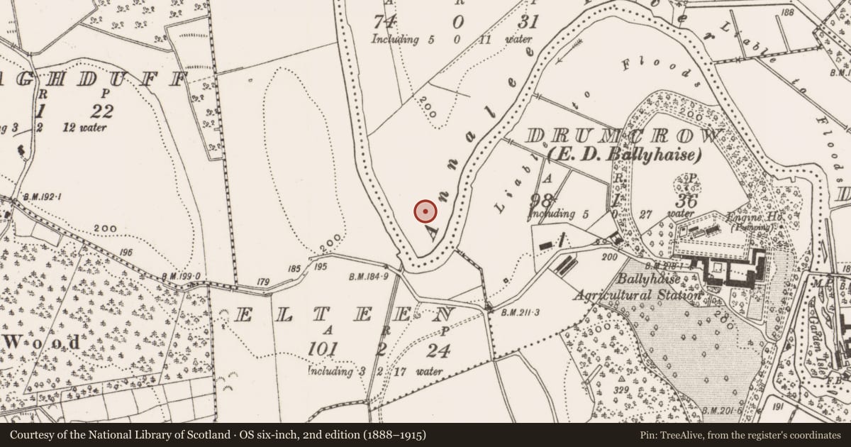 Ordnance Survey six-inch map, 2nd edition (1888–1915) covering the location of Enclosure, Drumhome, County Cavan, with a pin at the register's coordinates