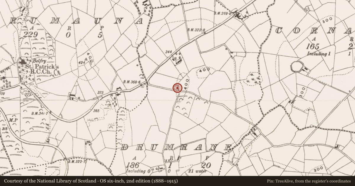 Ordnance Survey six-inch map, 2nd edition (1888–1915) covering the location of Ringfort - rath, Drumrane, County Cavan, with a pin at the register's coordinates