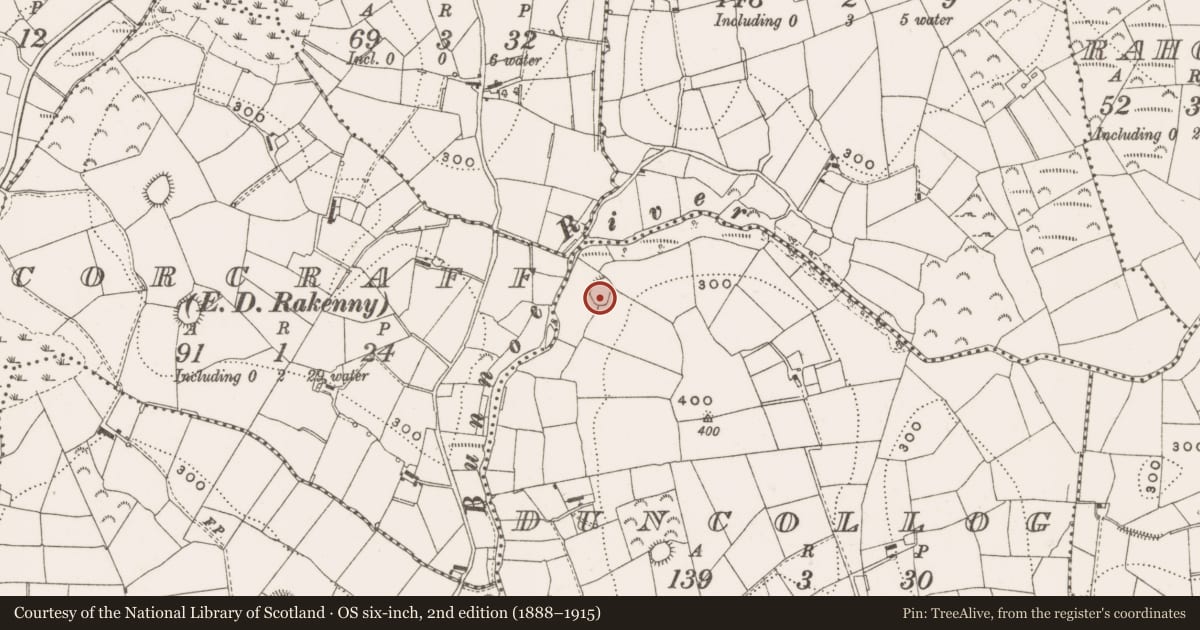 Ordnance Survey six-inch map, 2nd edition (1888–1915) covering the location of Ringfort - rath, Duncollog, County Cavan, with a pin at the register's coordinates