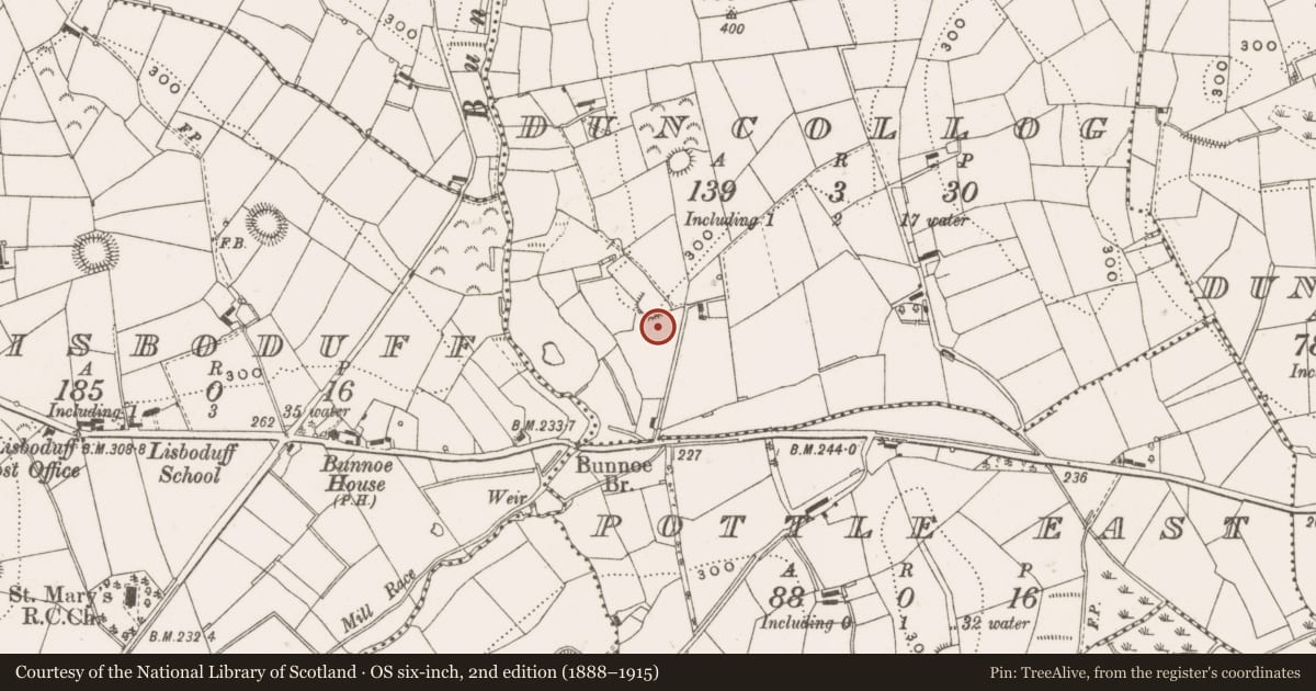 Ordnance Survey six-inch map, 2nd edition (1888–1915) covering the location of Ringfort - rath, Duncollog, County Cavan, with a pin at the register's coordinates