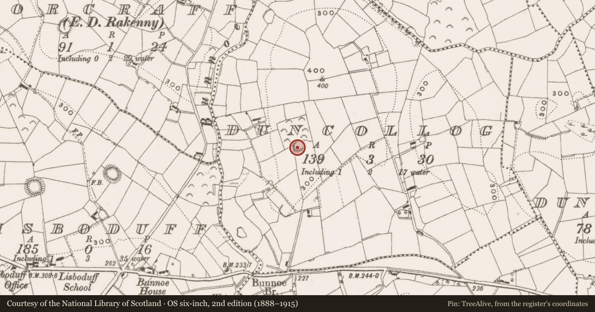 Ordnance Survey six-inch map, 2nd edition (1888–1915) covering the location of Ringfort - rath, Duncollog, County Cavan, with a pin at the register's coordinates