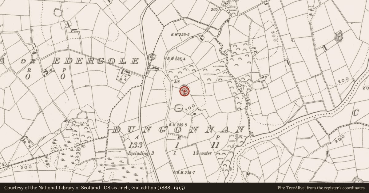 Ordnance Survey six-inch map, 2nd edition (1888–1915) covering the location of Ringfort - rath, Dungonnan, County Cavan, with a pin at the register's coordinates