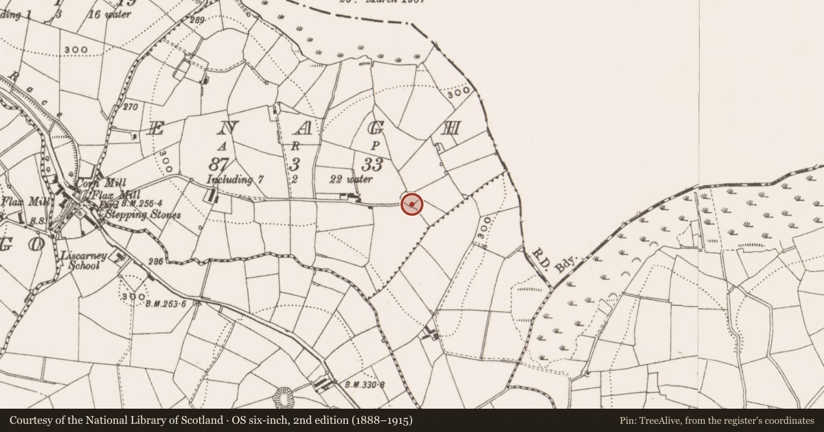 Ordnance Survey six-inch map, 2nd edition (1888–1915) covering the location of Ringfort - rath, Enagh, County Cavan, with a pin at the register's coordinates