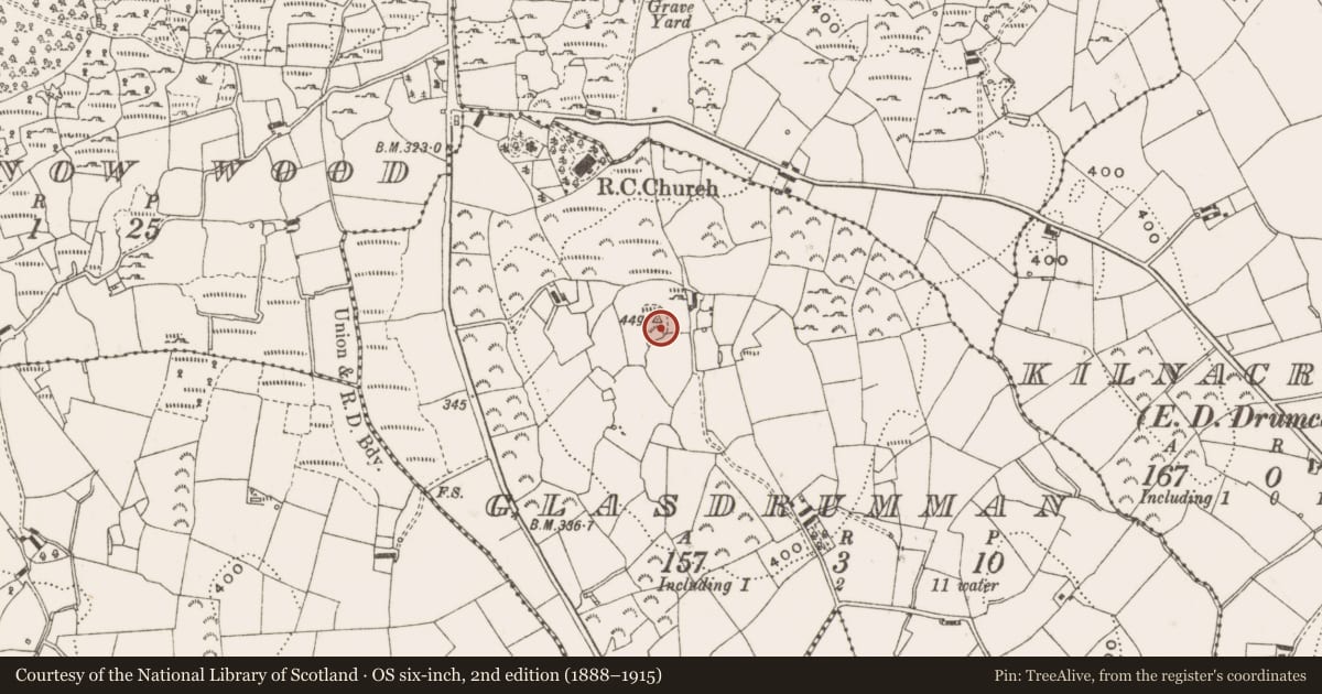 Ordnance Survey six-inch map, 2nd edition (1888–1915) covering the location of Ringfort - rath, Glasdrumman, County Cavan, with a pin at the register's coordinates