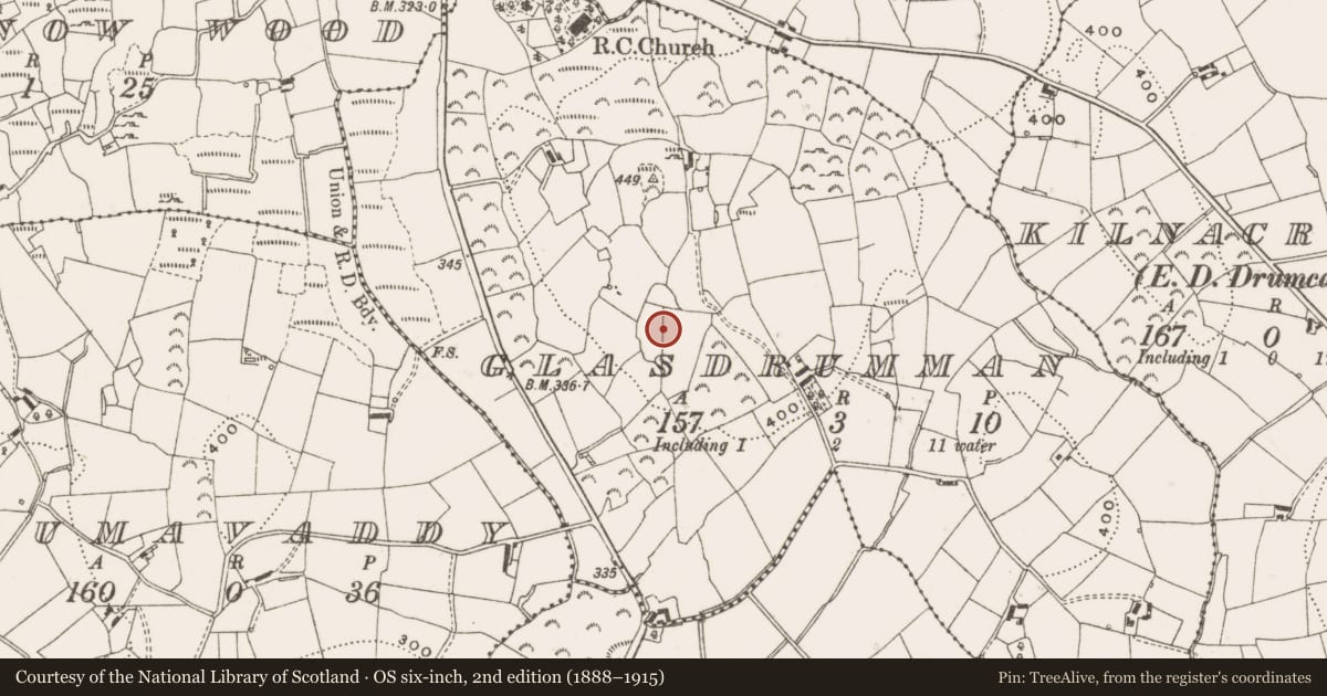 Ordnance Survey six-inch map, 2nd edition (1888–1915) covering the location of Ringfort - cashel, Glasdrumman, County Cavan, with a pin at the register's coordinates