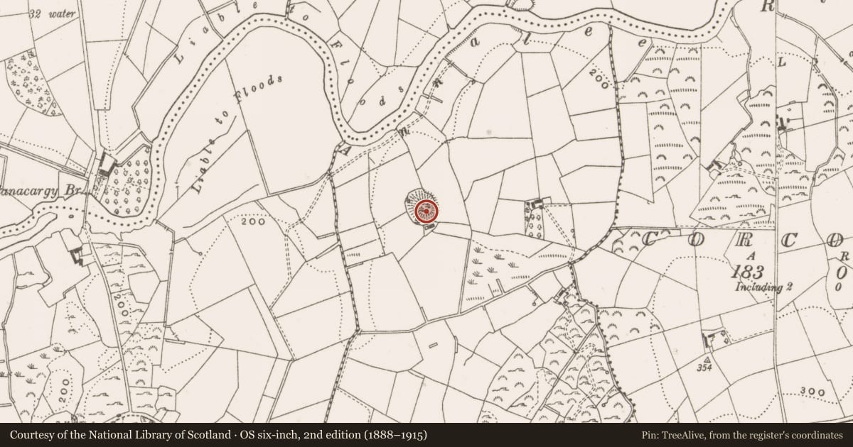 Ordnance Survey six-inch map, 2nd edition (1888–1915) covering the location of Ringfort - rath, Gortskeagh, County Cavan, with a pin at the register's coordinates