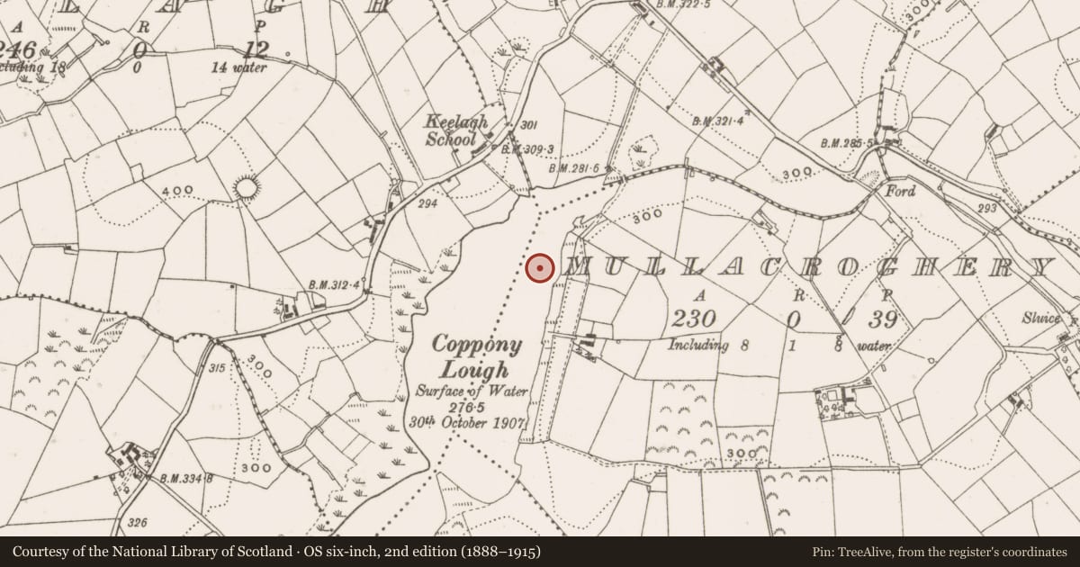 Ordnance Survey six-inch map, 2nd edition (1888–1915) covering the location of Crannog, Keelagh, Mullacroghery, County Cavan, with a pin at the register's coordinates