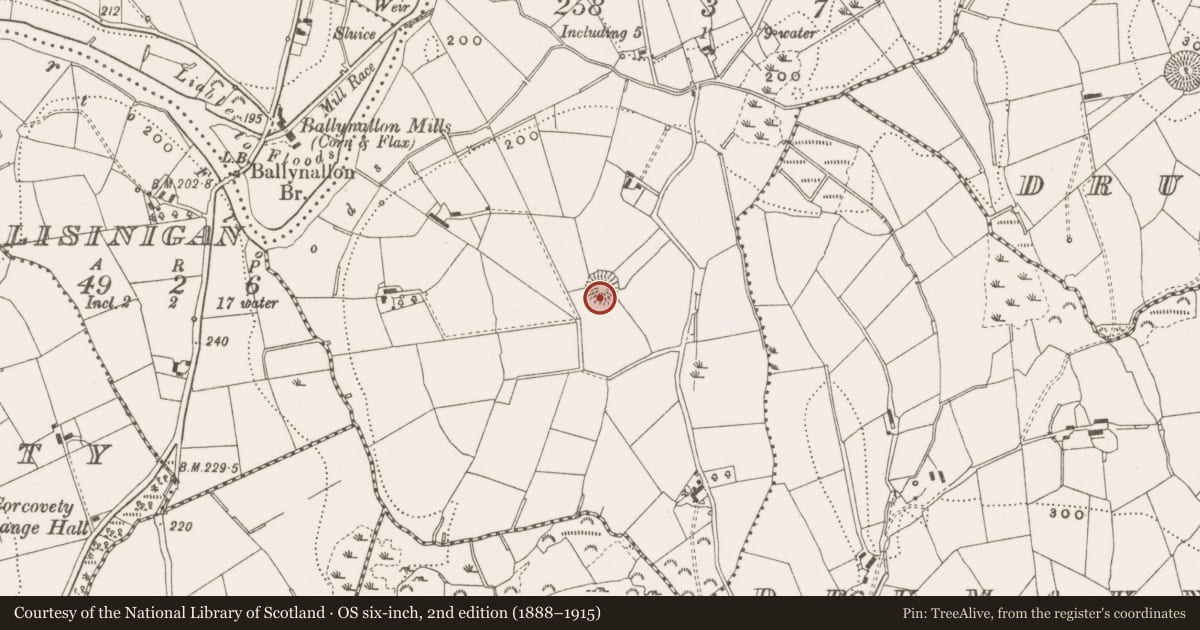 Ordnance Survey six-inch map, 2nd edition (1888–1915) covering the location of Ringfort - rath, Killymullin, County Cavan, with a pin at the register's coordinates